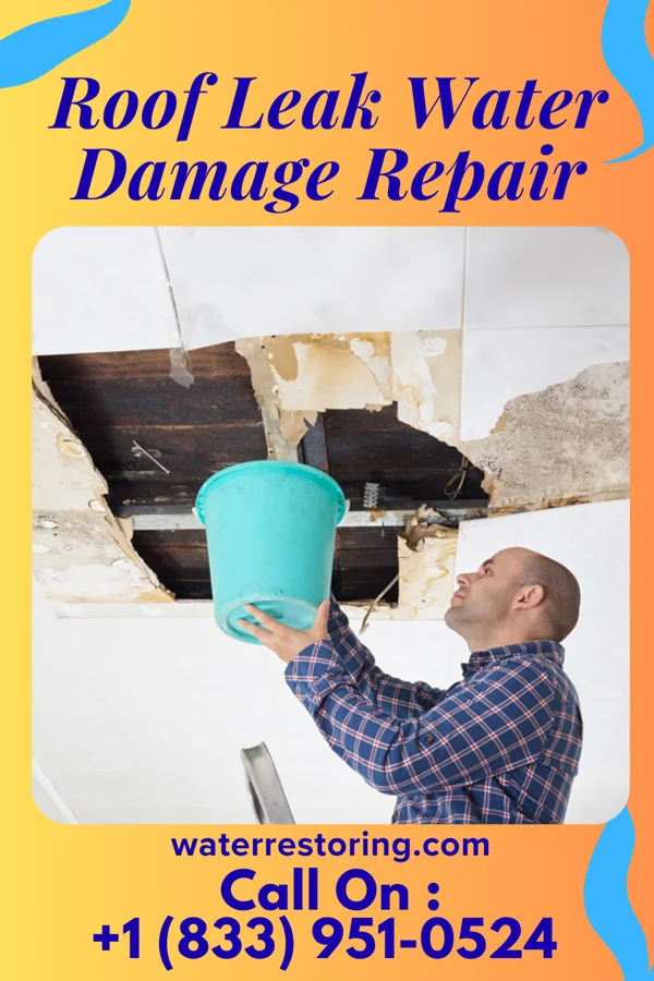 Roof Leak Water Damage Repair in Lynch, KY