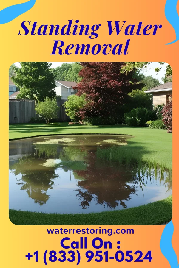 Standing Water Removal in Lynch, KY